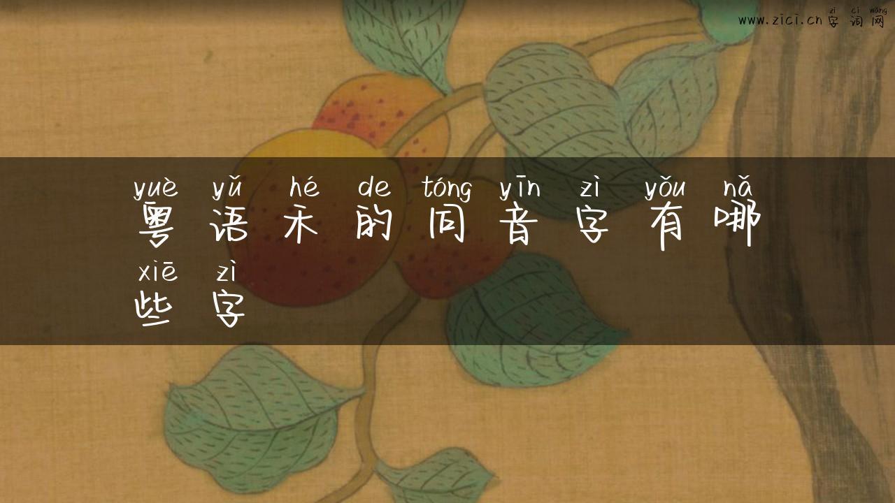 粤语禾的同音字有哪些字