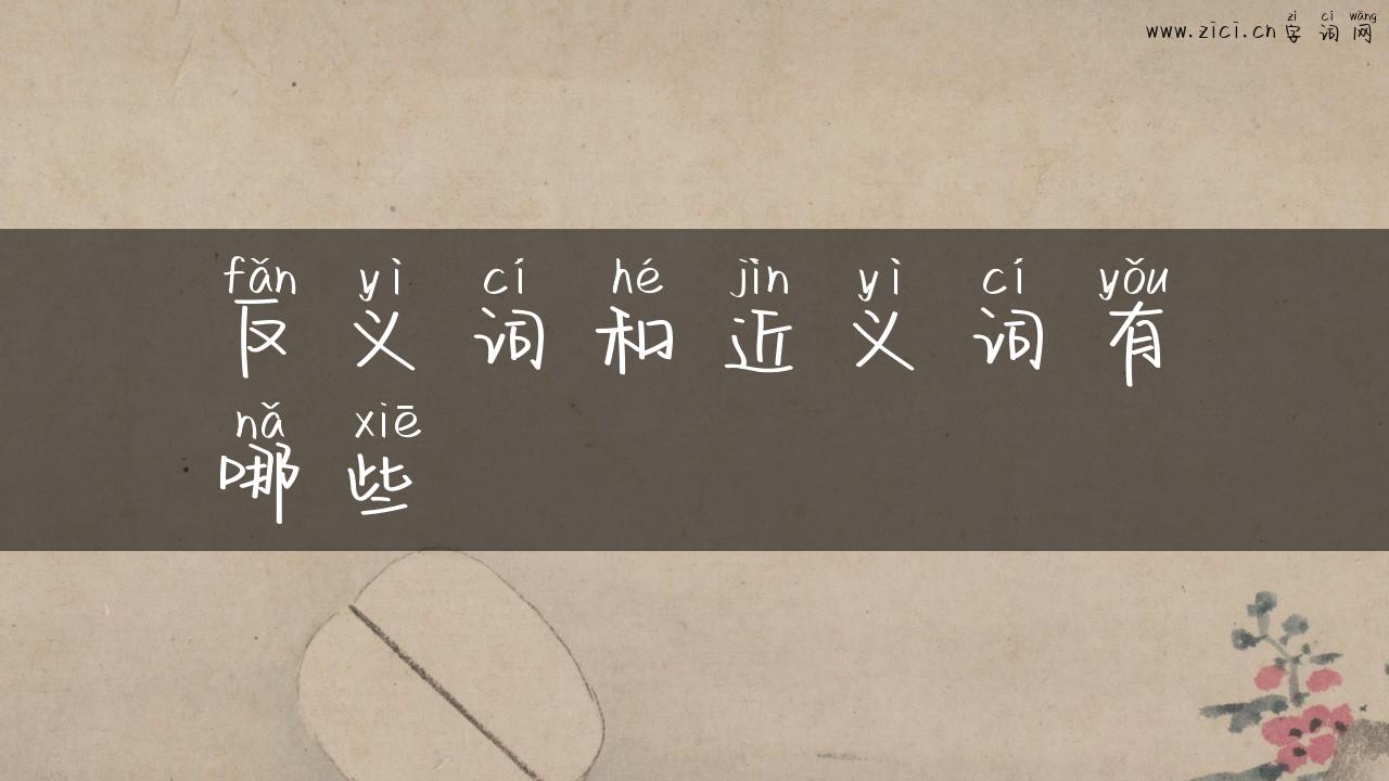反义词和近义词有哪些