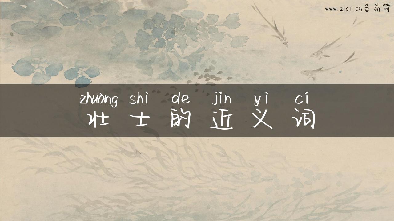 壮士的近义词
