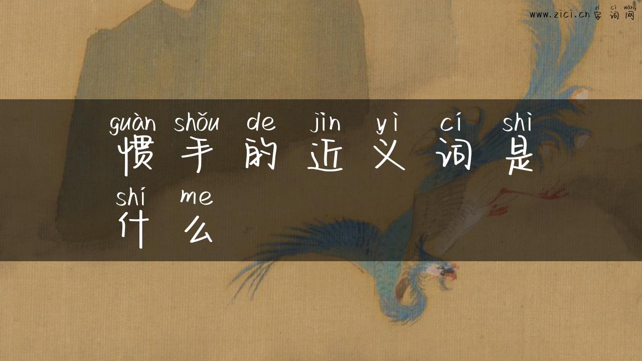 惯手的近义词是什么