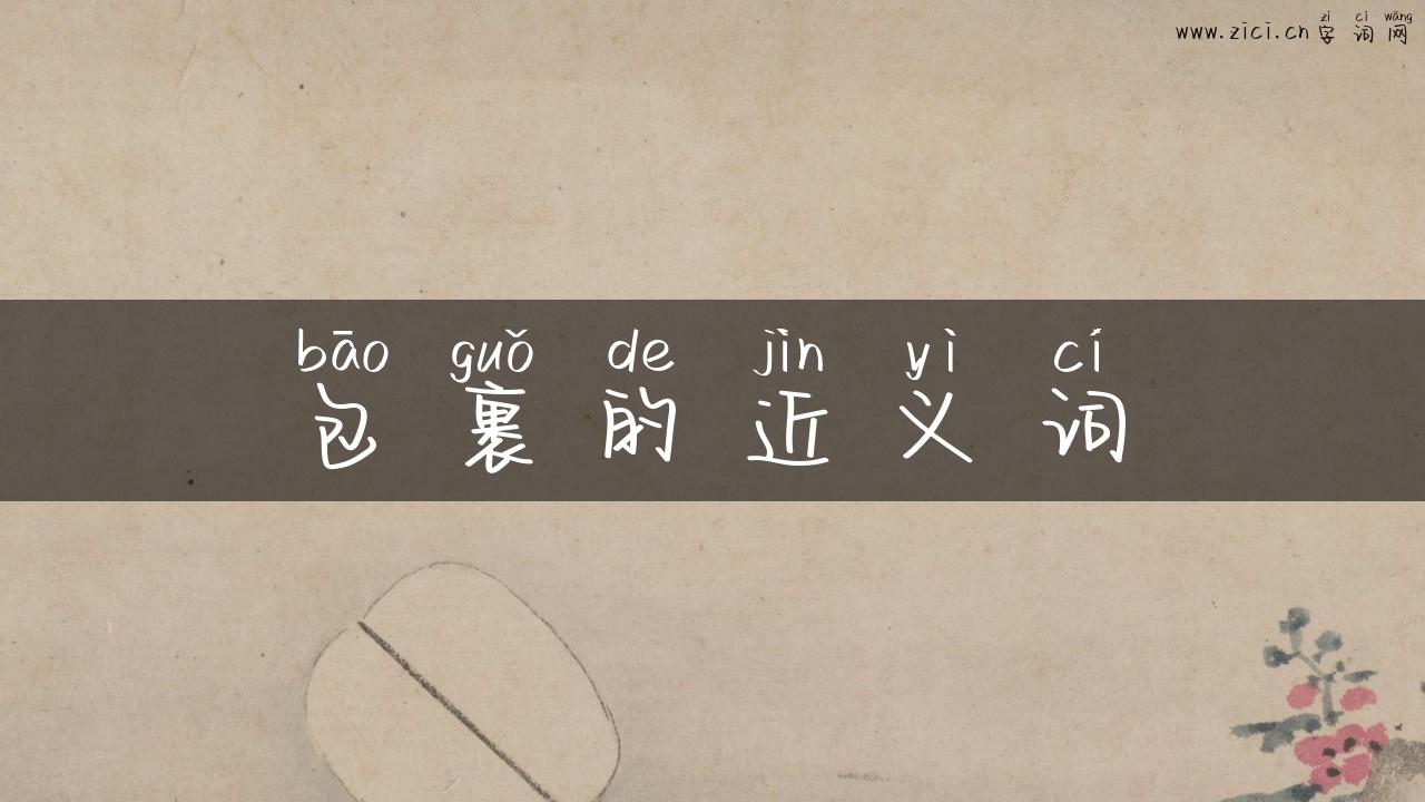 包裹的近义词