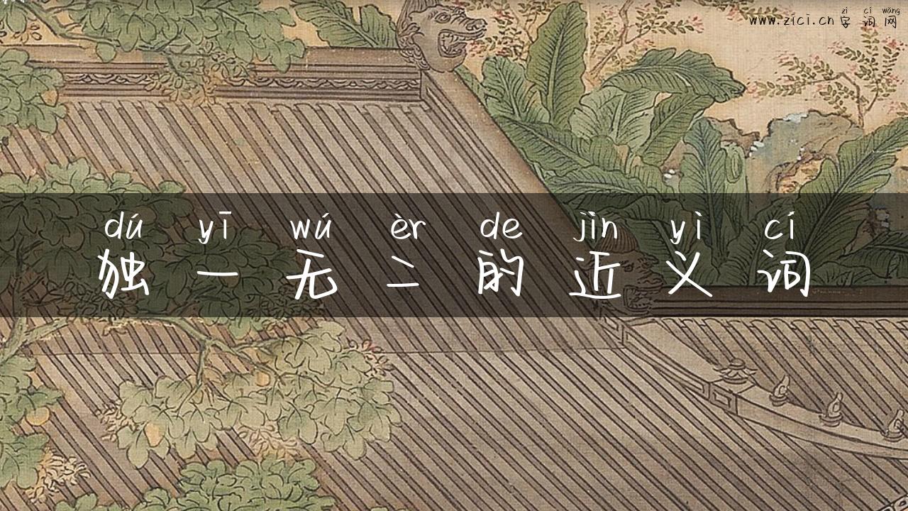 独一无二的近义词