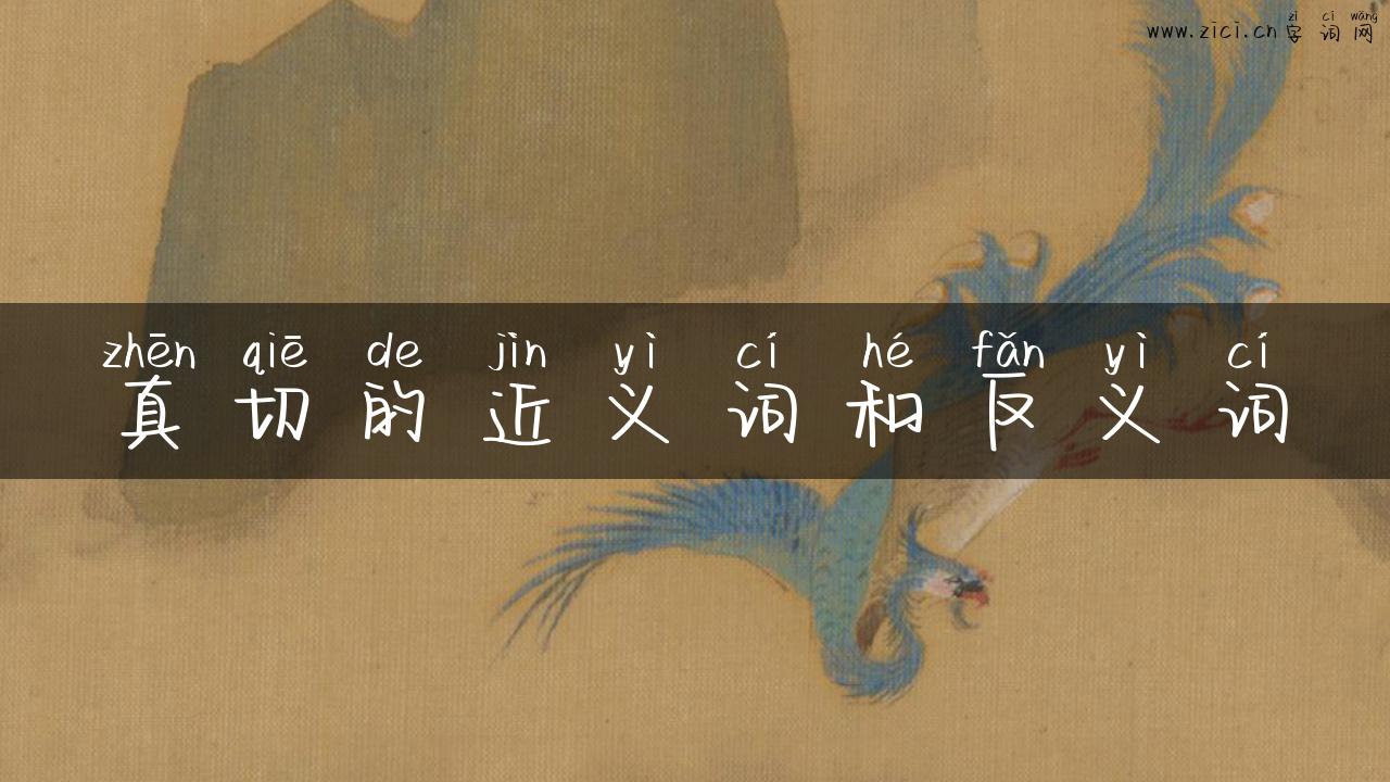 真切的近义词和反义词