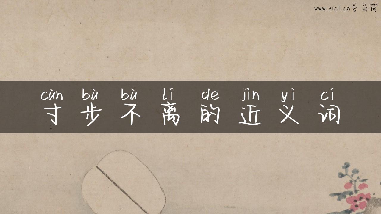 寸步不离的近义词