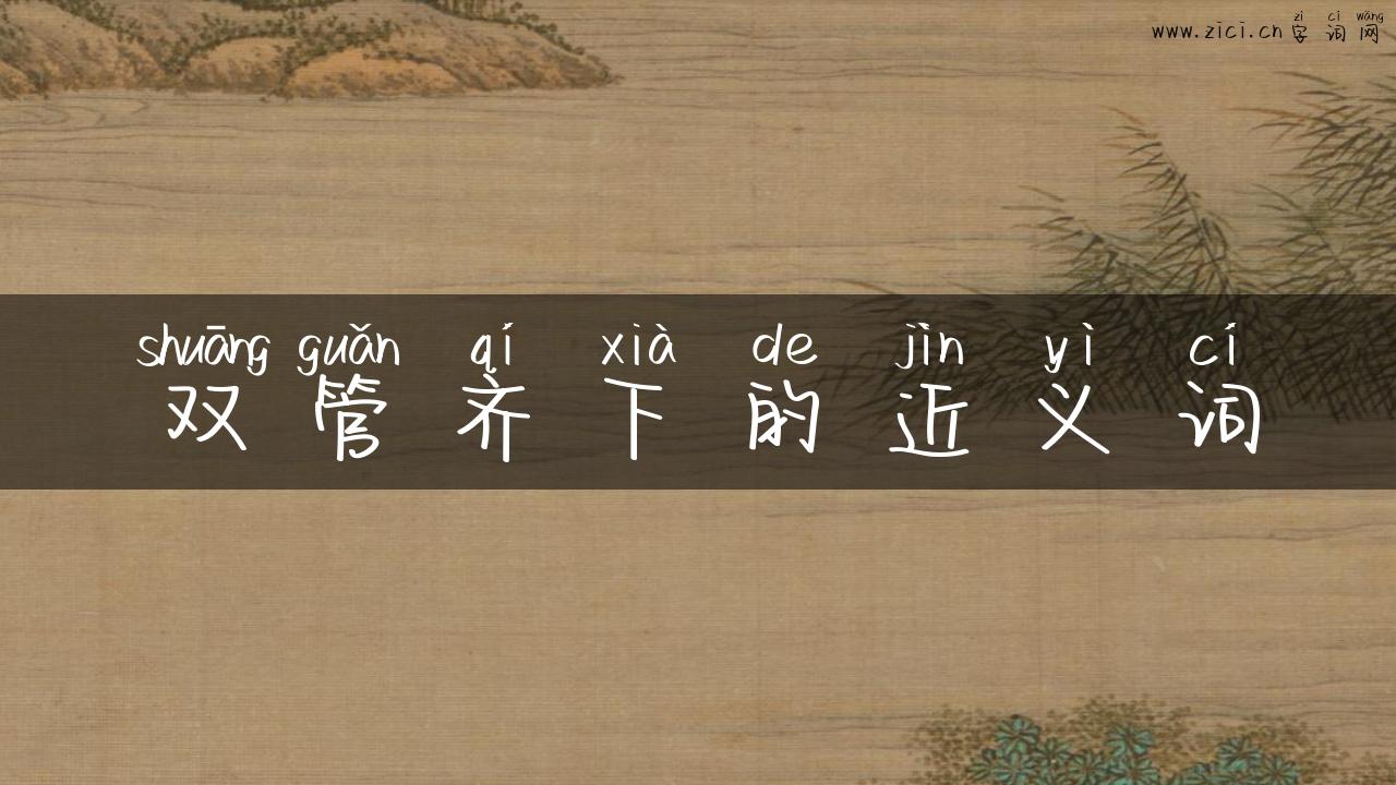 双管齐下的近义词