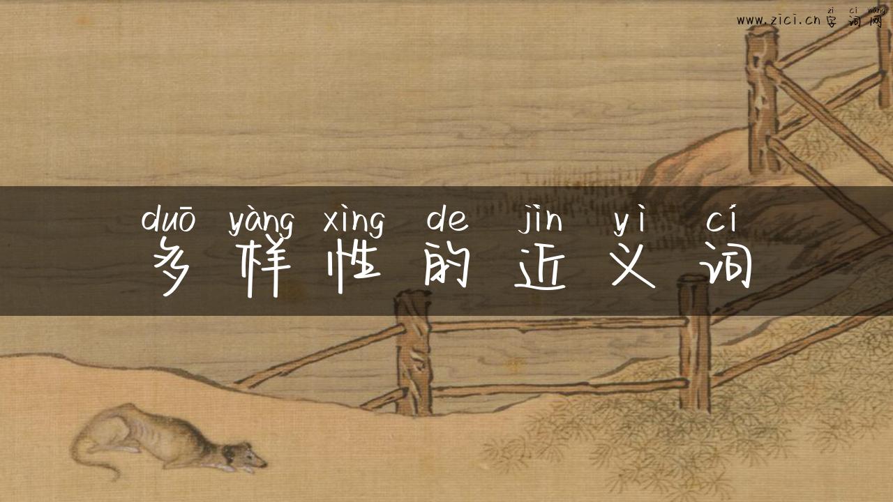 多样性的近义词