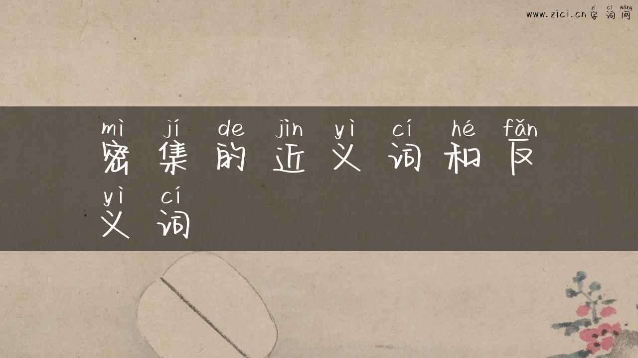 密集的近义词和反义词