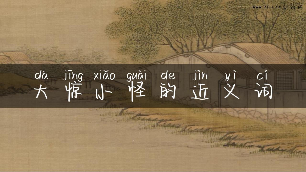 大惊小怪的近义词