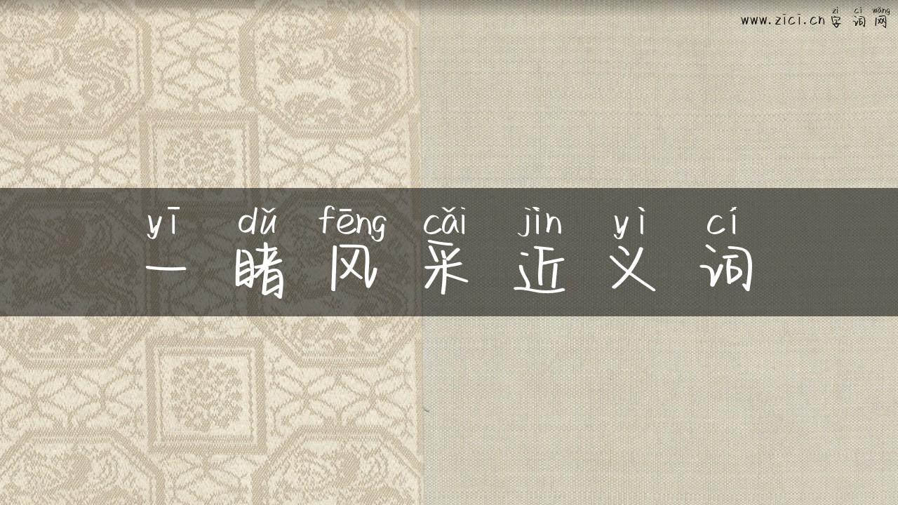 一睹风采近义词