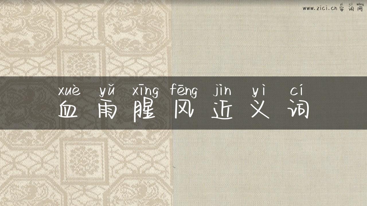 血雨腥风近义词