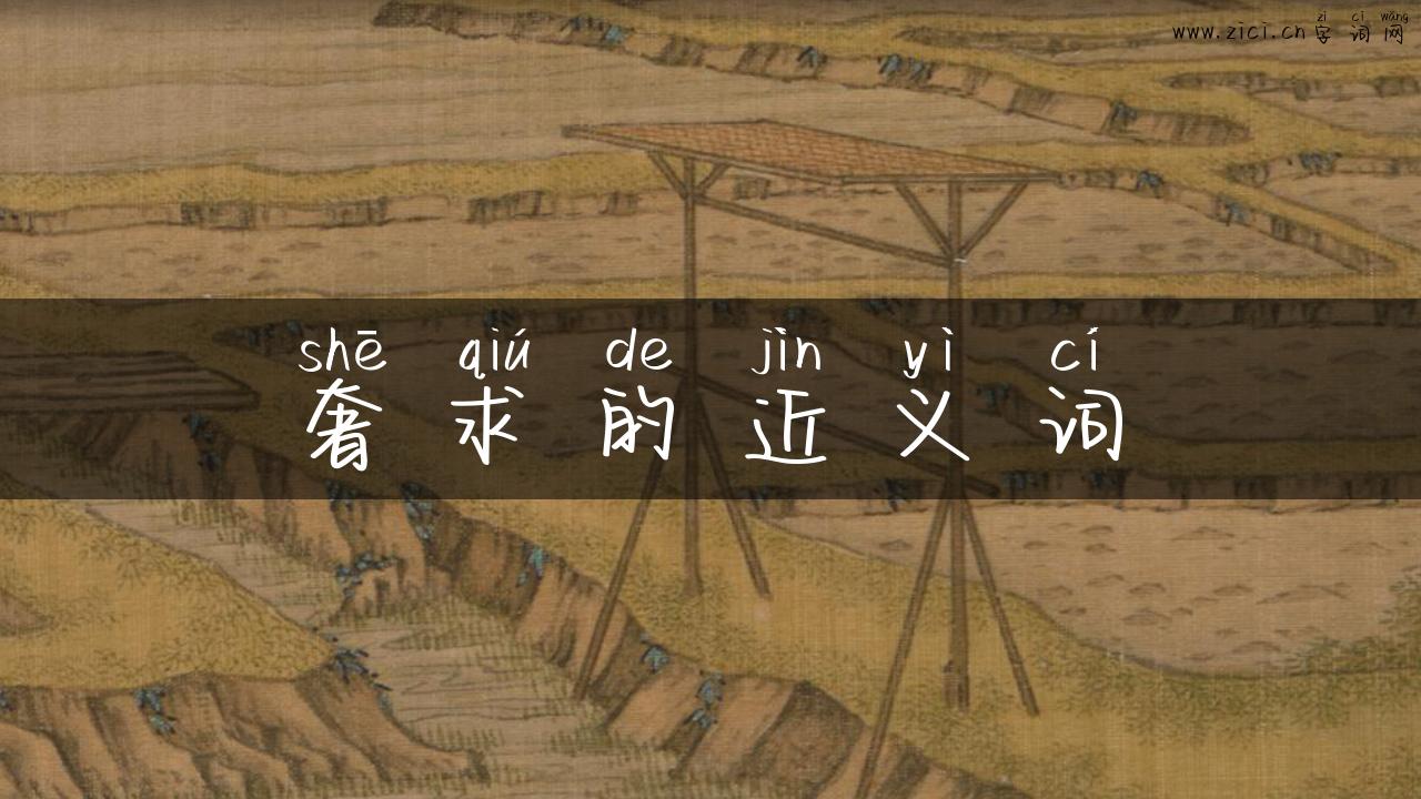 奢求的近义词