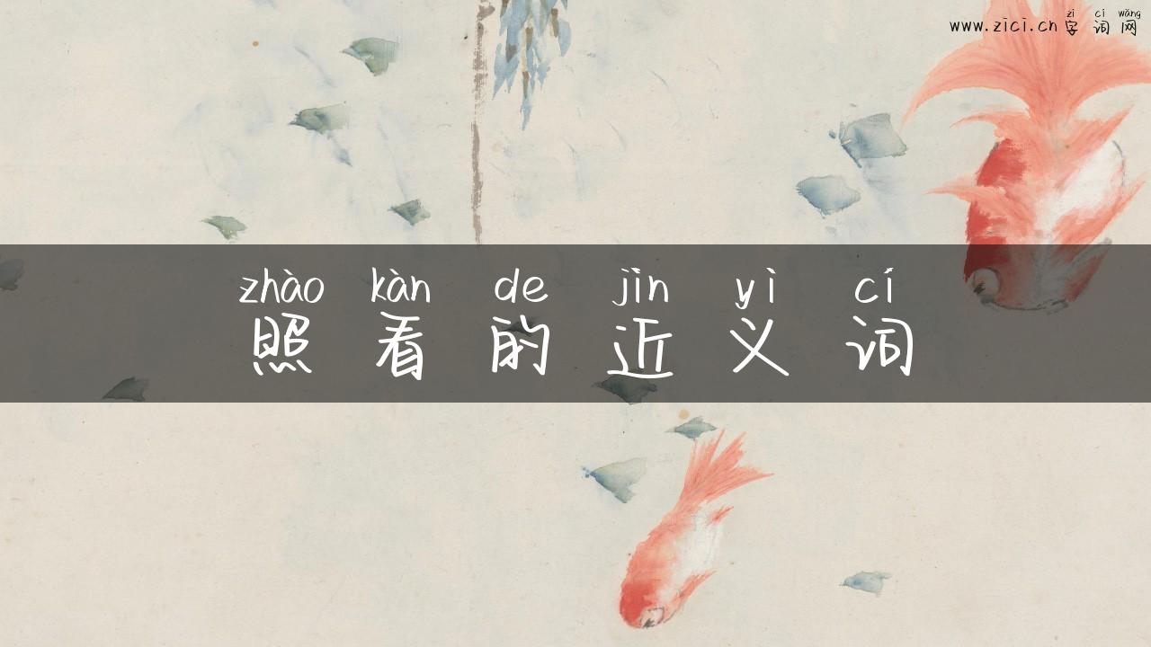 照看的近义词