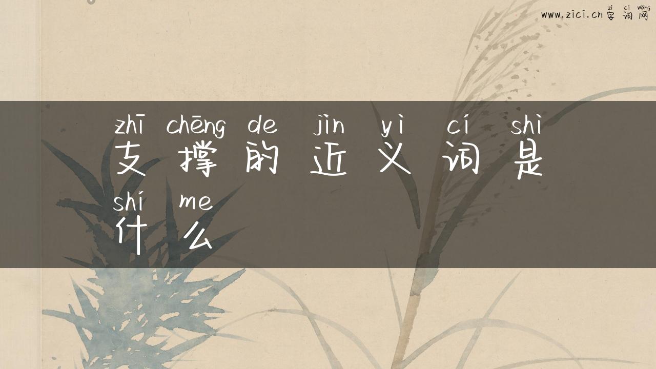 支撑的近义词是什么