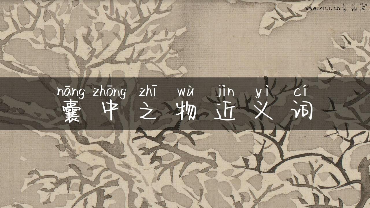 囊中之物近义词