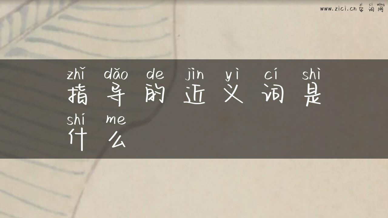 指导的近义词是什么
