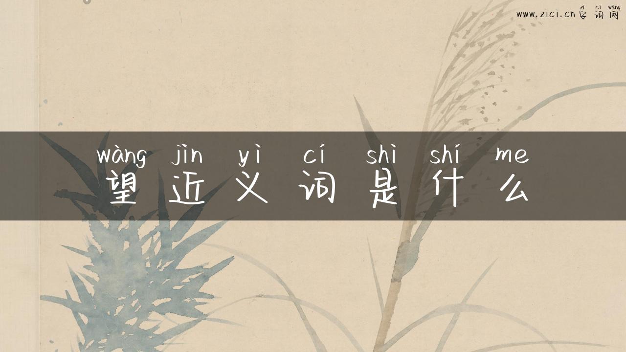 望近义词是什么