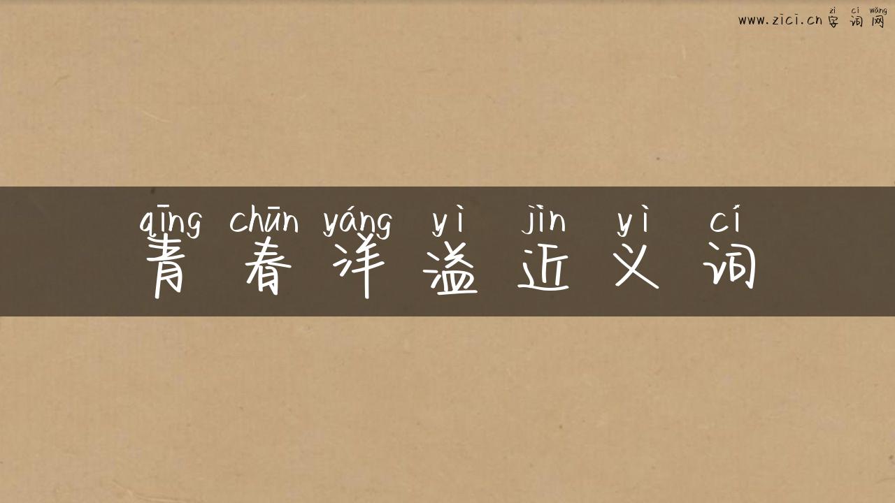 青春洋溢近义词