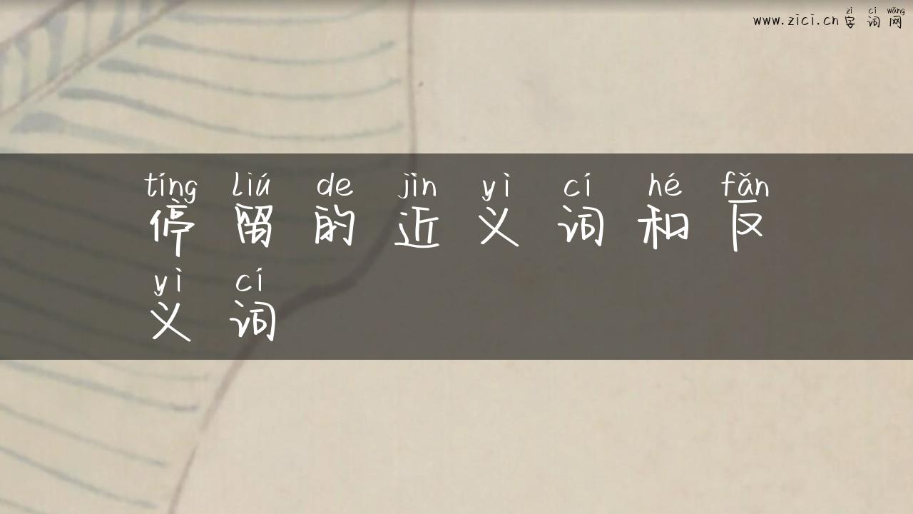 停留的近义词和反义词