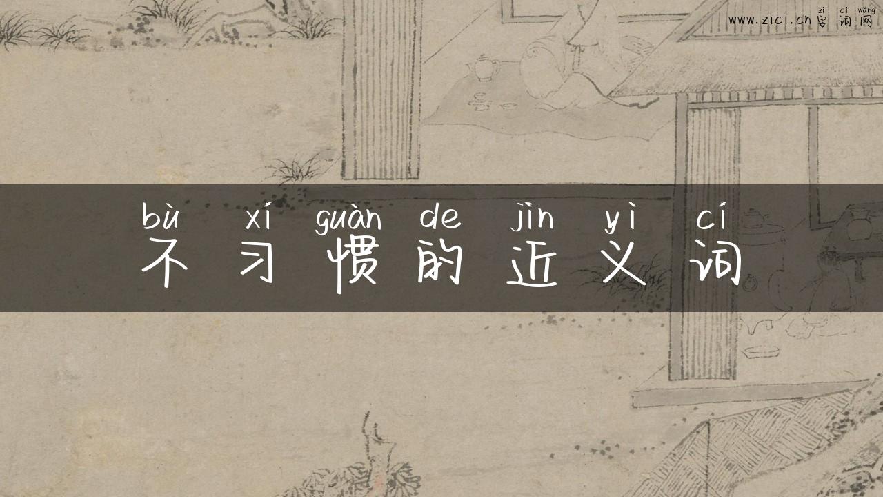 不习惯的近义词