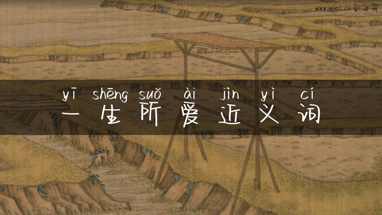 一生所爱近义词
