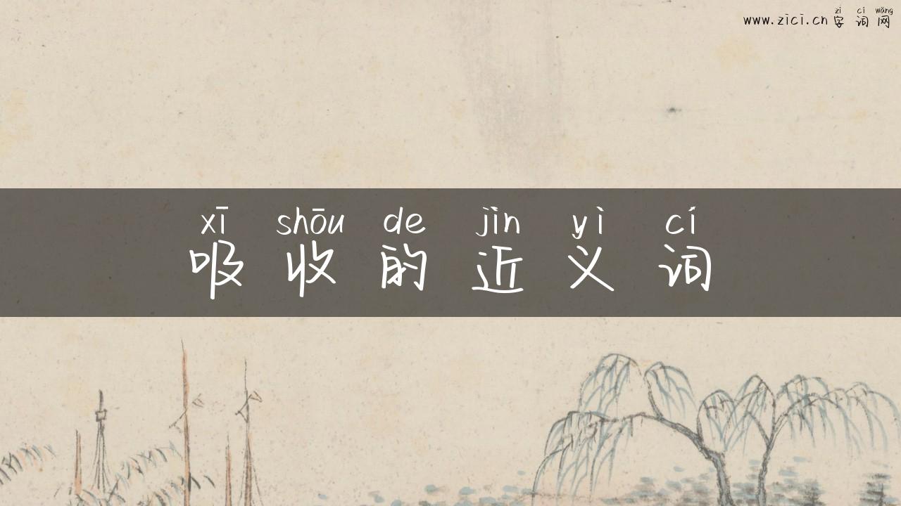 吸收的近义词