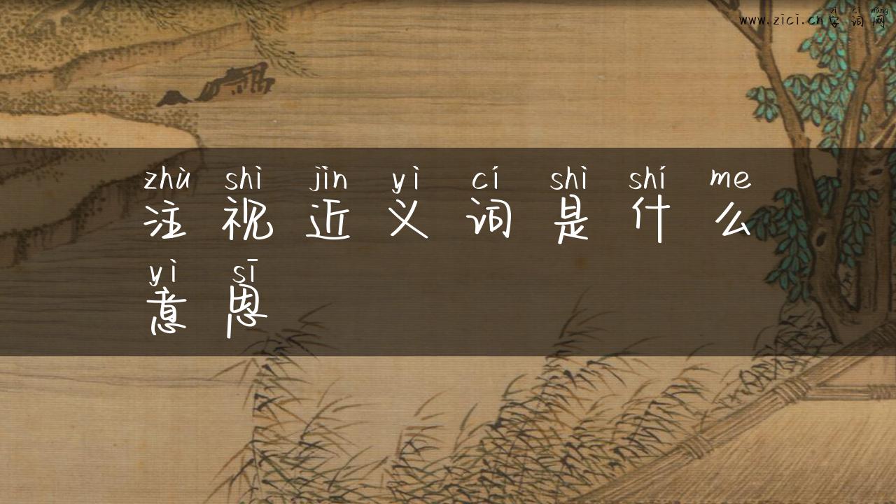 注视近义词是什么意思