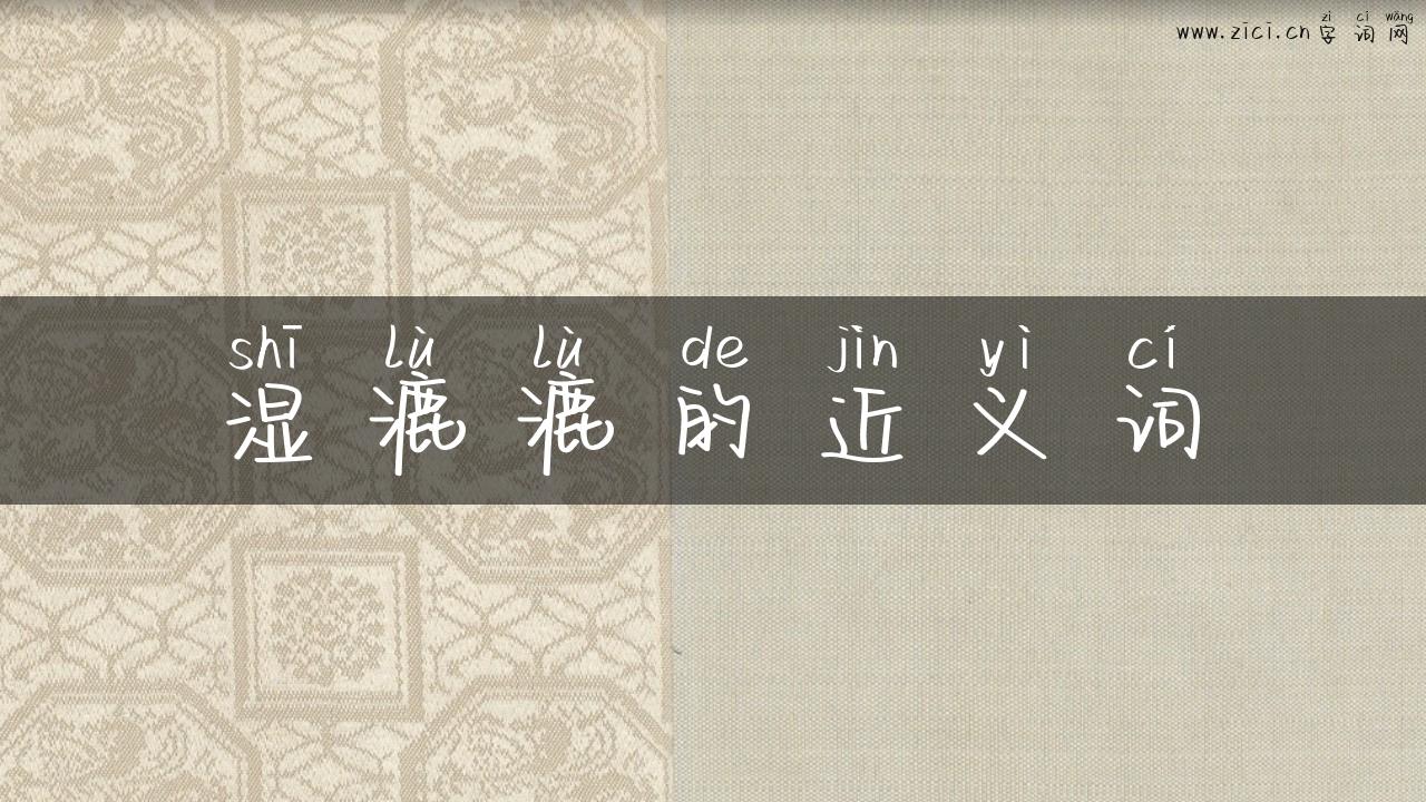 湿漉漉的近义词