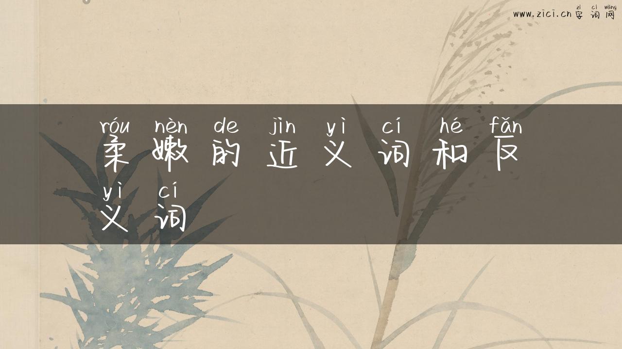 柔嫩的近义词和反义词