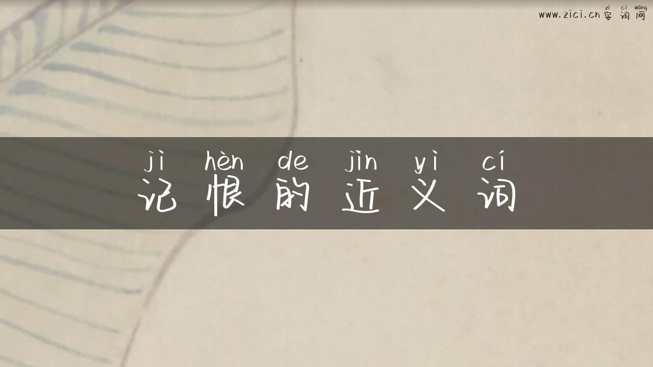 记恨的近义词