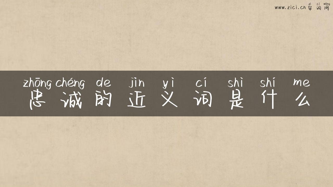 忠诚的近义词是什么