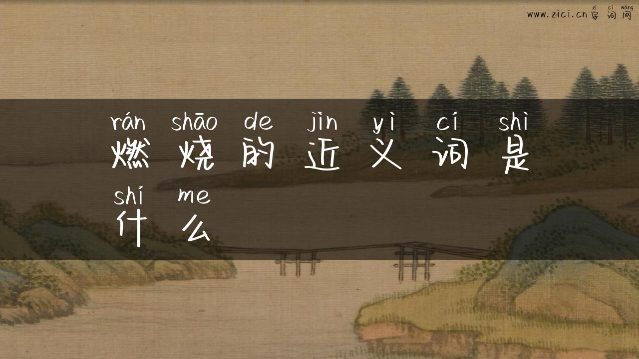 燃烧的近义词是什么