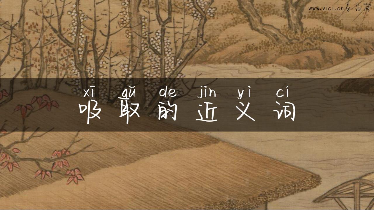 吸取的近义词