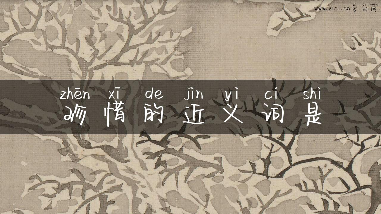 珍惜的近义词是