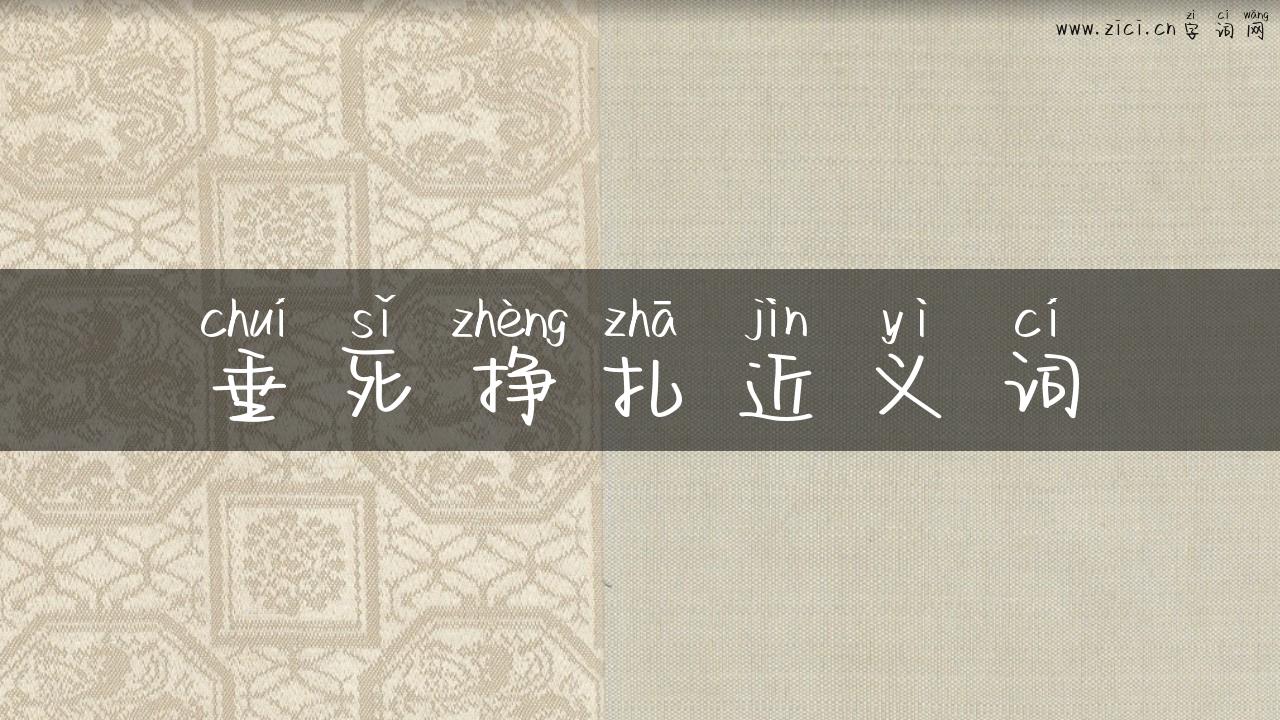 垂死挣扎近义词