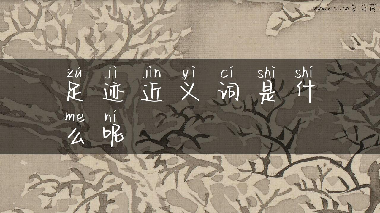 足迹近义词是什么呢