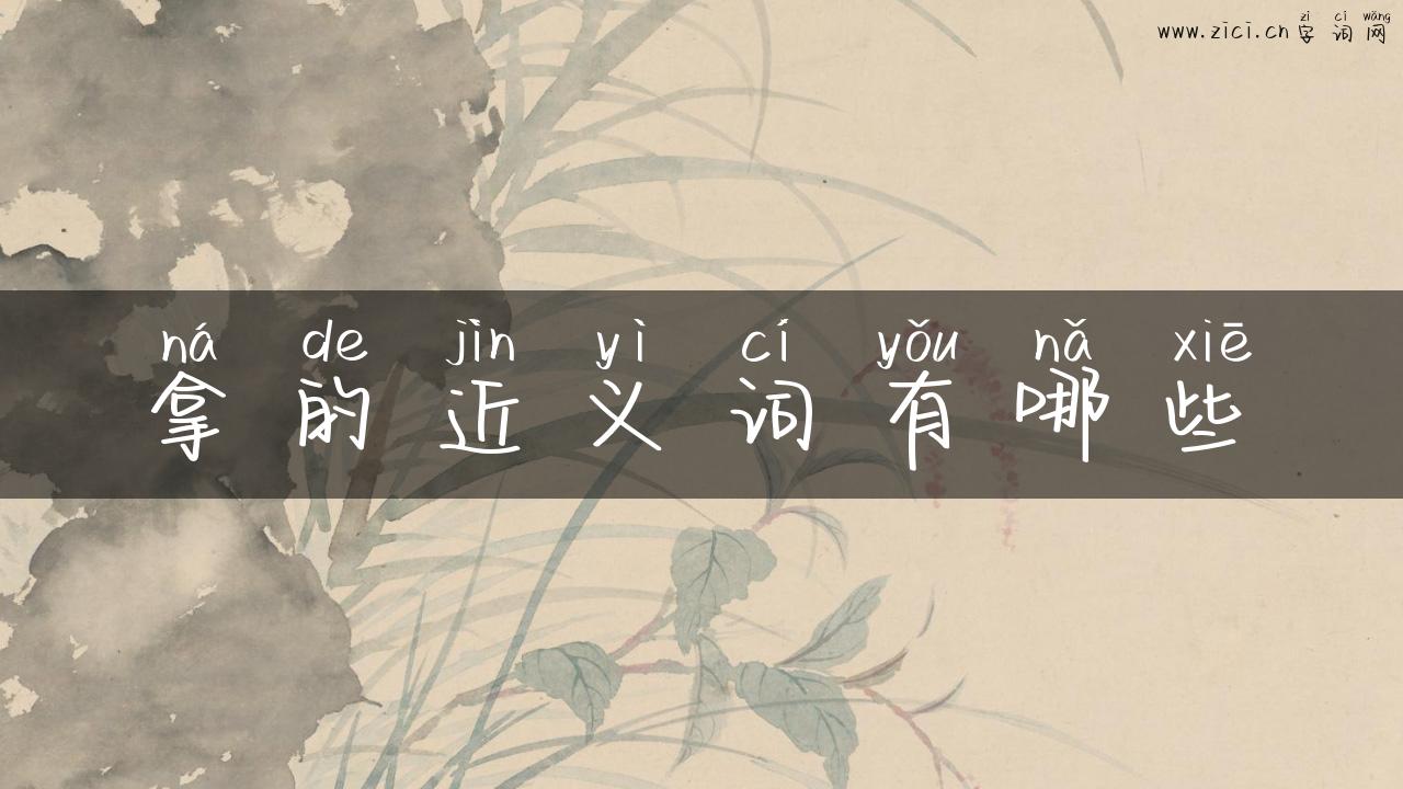 拿的近义词有哪些