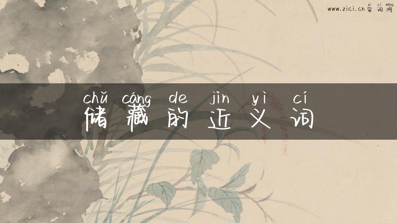 储藏的近义词