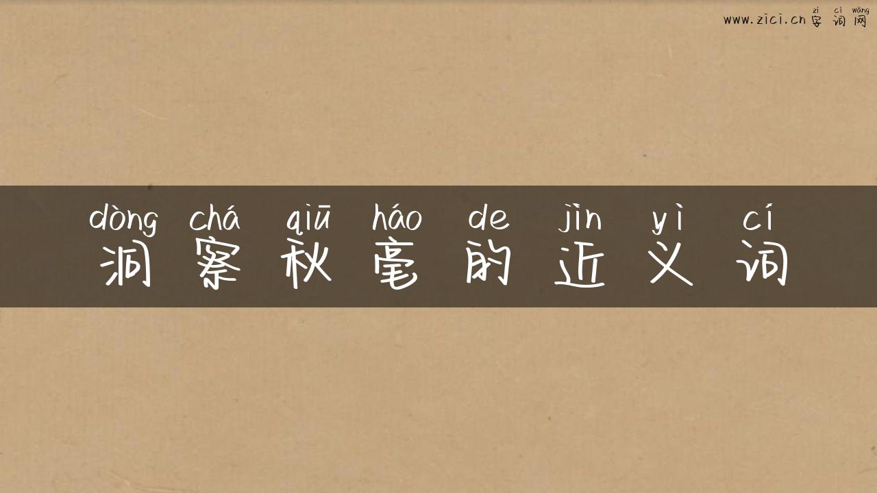 洞察秋毫的近义词