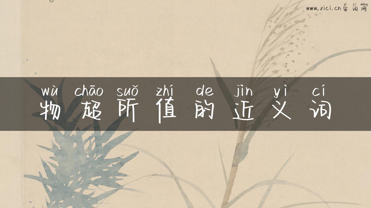 物超所值的近义词