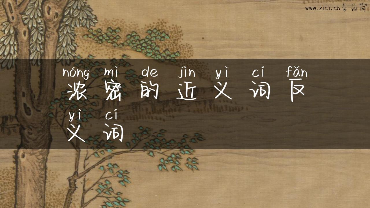 浓密的近义词反义词