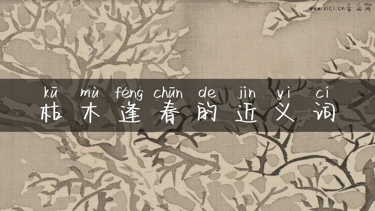 枯木逢春的近义词