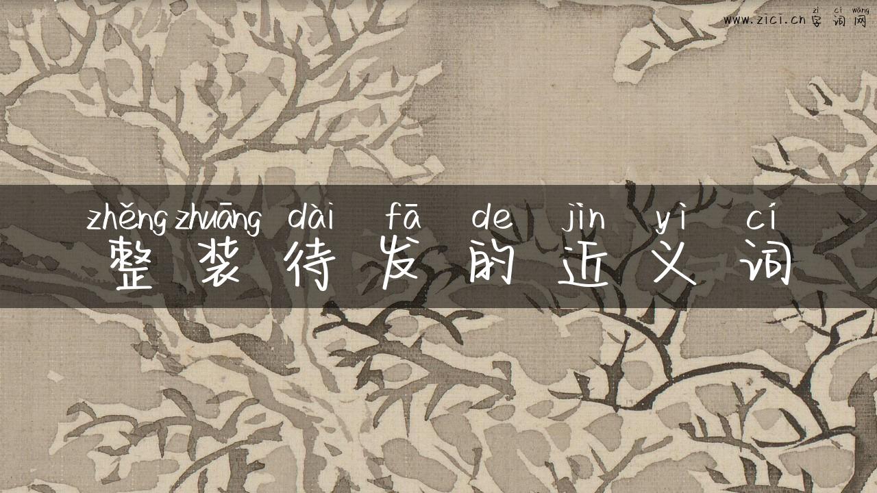 整装待发的近义词