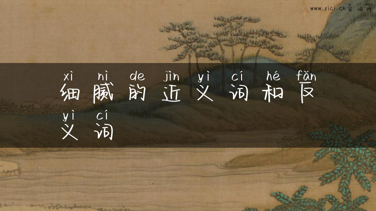 细腻的近义词和反义词