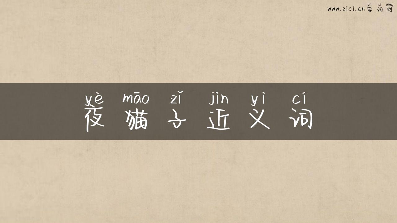 夜猫子近义词