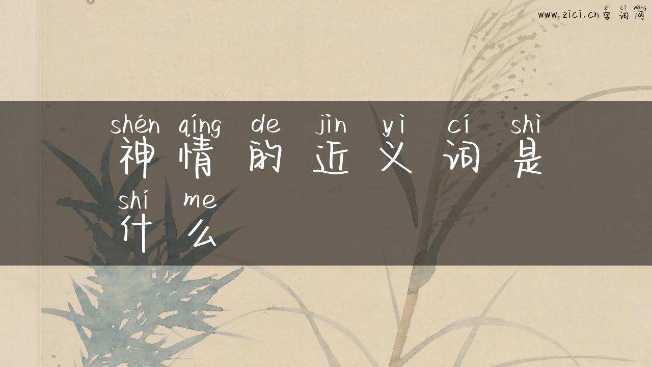 神情的近义词是什么