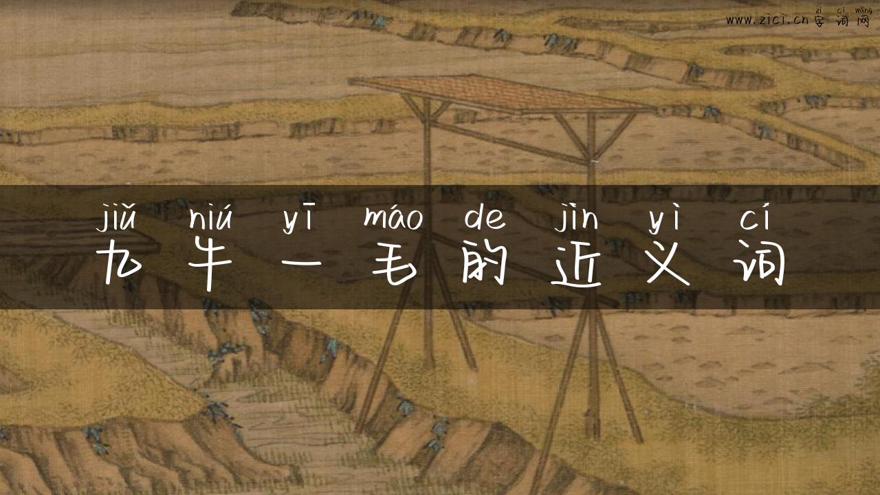 九牛一毛的近义词