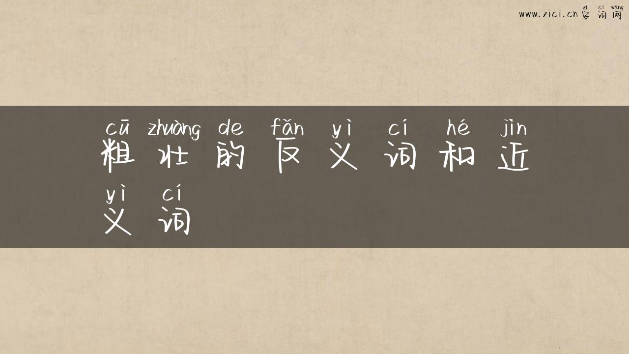 粗壮的反义词和近义词