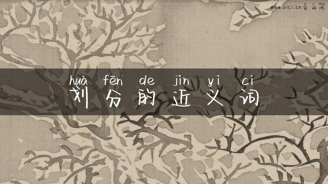 划分的近义词