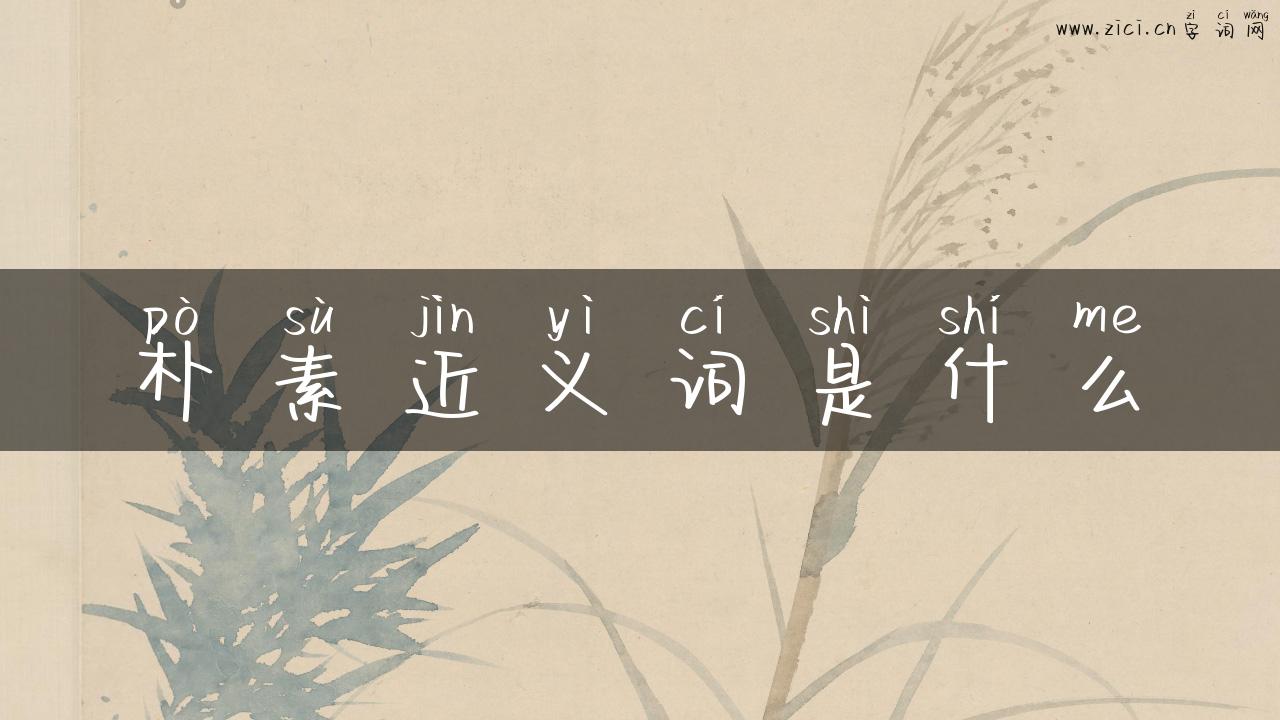 朴素近义词是什么