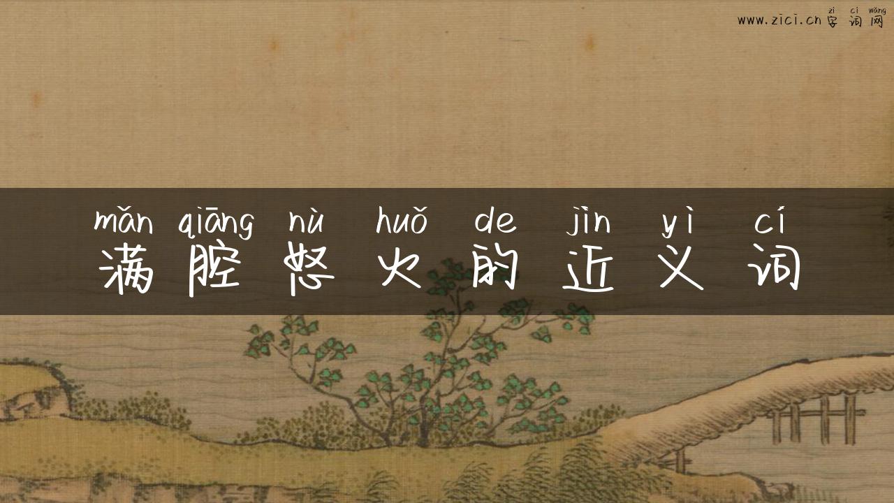 满腔怒火的近义词